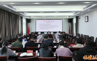 胡彬彬主持召开临澧县县长办公会