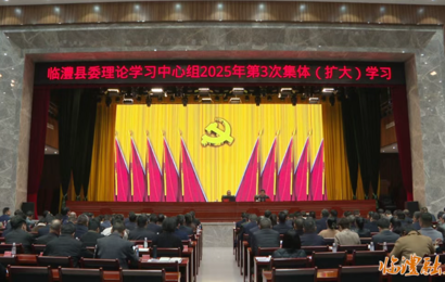 临澧县委理论学习中心组举行2025年第3次集体（扩大）学习