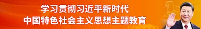 学习贯彻习近平新时代中国特色社会主义思想主题教育